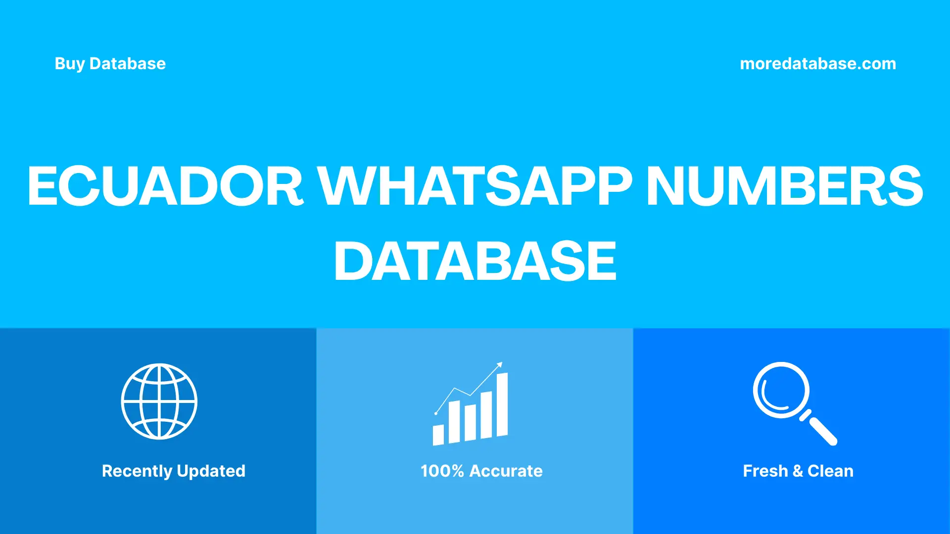 Ecuador WhatsApp Numbers Database